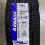 SUPERSAFE ANF01 RF ANNAITE