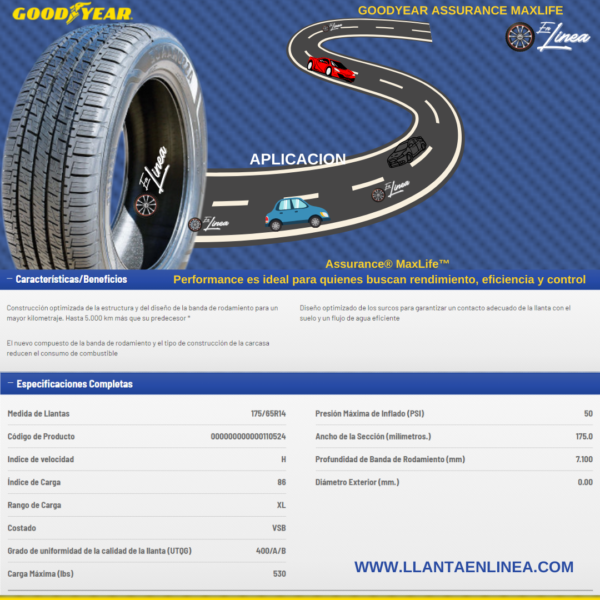 FICHA TECNICA ASSURANCE MAXLIFE 175-65R14