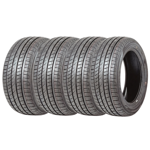 FORTUNE FS303 (1)