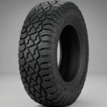 FORTUNE RT TOMENTA FSR-309